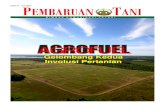 AGROFUEL · kepada perusahaan rokok milik asing Phillip Moris serta merta Di Indonesia data yang ada menunjukkan ... Hashim Group, Surya Dumai ... pemasok bahan baku agrofuel, ...