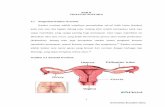 BAB II TINJAUAN PUSTAKA 2.1 Pengertian Kanker Ovariumrepository.usu.ac.id/bitstream/123456789/41017/4/Chapter II.pdf · r. asa kejang . di perut, p. endarahan lewat vagina yang tidak