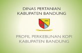 DINAS PERTANIAN KABUPATEN BANDUNG - …distan.bandungkab.go.id/uploads/pdf_laporan/3zMbZo7amccgv5Unk1uWL0... · Bandung • Kabupaten Bandung terletak pada koordinat 107° 22’BT–108°