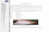 2. TINJAUAN PUSTAKA 2.1 Deskripsi Ikan Nila (Oreochromis … · andungan oksigen air minimal 4 mg/l, kandungan karbondioksida maksimal 5 mg/l, kadar amoniak dalam air harus dalam