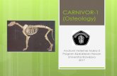 CARNIVOR-1 (Osteology) - herlina.lecture.ub.ac.idherlina.lecture.ub.ac.id/files/2017/09/CARNIVOR-1.pdf · Program Kedokteran Hewan Universitas Brawijaya 2017. IALIS Ossa Craniofascialis