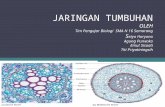 JARINGAN TUMBUHAN - tyo' - bio teaching | sman 16 smg â€“ .PPT file  Web view2010-03-19  JARINGAN