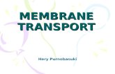 [PPT]TRANSPORT MEMBRAN - Biologi 2010 … · Web viewMEMBRANE TRANSPORT Hery Purnobasuki PRINSIP TRANSPORT MEMBRAN POMPA Na+ K+ PADA MEMBRAN PLASMA ATPase TRANSPORT PADA BAKTERI TRANSPORT