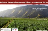 Peluang Pengembangan Agribisnis Indonesia Timur · dan pendapatan petani miskin ... • Penelitian lapangan- wawancara semi terstruktur − Pelaku rantai (produsen, ... daun bawang,