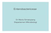 Dr Maria Simatupang Departemen MikrobiologiDepartemen ...ocw.usu.ac.id/.../bbc215_slide_enterobactericeae.pdfEnterobactericeae • Pasien-pasien imunocompromised sangatpasien imunocompromised,