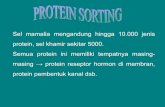 Sel mamalia mengandung hingga 10.000 jenis protein, sel ... · transpornya ke peroksisom. 1.Sekuen SKL uptake targeting. 2. Berbentuk tetramer dgn . heme. 3. Reseptor sitosolik PTSIR