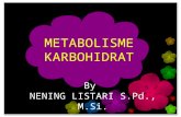 [PPT]METABOLISME KARBOHIDRAT - … · Web viewGLIKOLISIS, GLUKONEOGENESIS DAN JALUR PENTOSA FOSFAT Proses pemecahan heksosa (6C) menjadi senyawa 3C atau 2C dan menghasilkan ATP Proses