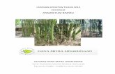 ARBORETUM BAMBU - dml.or.id Bambu 2013.pdf · meminta Audiensi kepada pihak pemerintah (KLH, SDA-PU, BBWSCC) yang berkaitan dengan program arboretum bambu di Ciliwung. Tim DML merumuskan