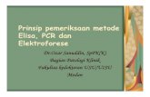 Prinsip pemeriksaan metode Elisa, PCR dan Elektroforeseocw.usu.ac.id/course/download/1110000102-basic-biology-of-cell-3/... · Prinsip pemeriksaan metode Elisa, PCR dan Elektroforese