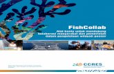 FishCollab - ccres.net · Latar belakang: mengapa kita memerlukan alat bantu ini? 4 2.1 Kolaborasi dalam mengelola sumber daya alam 4 2.2 Alasan menerapkan alat bantu 6 3. Prosedur