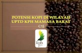 119°0' 24,5 - 119°17'27,7 BT dan 2°38' 56 - · PDF filehutan produksi terbatas (HPT) Wilayah KPH ... pertanian lain seperti kakao dan jagung masuk ke daerah Mamasa, potensi kopinya
