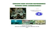 Tugas Biola tridacna - karyatulisilmiah.com · untuk keperluan industry aquarium hias air laut, ... Lubang yang berfungsi sebagai alat masuknya air disebut inhalant siphon atau ...