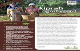World Argoforestry Centre (ICRAF) Indonesia Volume 7 No. 1 ... kanoppi.pdf · Pengembangan produksi dan ... Gunungkidul bertujuan untuk mengetahui bagaimana meningkatkan ... Hutan