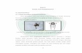 BAB IV HASIL DAN PEMBAHASAN 4.1 Hasil Penelitian …etheses.uin-malang.ac.id/886/8/08620012 Bab 4.pdf · kepik pejalan air ini adalah serangga yang bertungkai panjang yang hidup di
