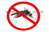 DEMAM BERDARAH DENGUE (DBD) - Universitas … · PPT file · Web view2015-06-19 · Dengue Syok Sindrom, Gejalanya sama dengan DBD ditambah dengan syok/presyok. Bentuk ini sering
