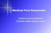 Medical First Responder - malahayati.ac.idmalahayati.ac.id/wp-content/uploads/2016/06/Pelajaran-10-Cedera...luka •Bengkok dimana ... Komplikasi berat terkait dengan PSD pada ekstrimitas,