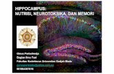 HIPPOCAMPUS: NUTRISI, NEUROTOKSIKA, DAN MEMORIpsikoneurologi.psikologi.ugm.ac.id/.../Nutrisi_Neurotoksika_Memori.pdfHIPPOCAMPUS: NUTRISI, NEUROTOKSIKA, DAN MEMORI Ginus Partadiredja