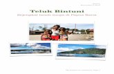 Teluk Bintuni - Aris Subagiyo Web Blogs | Aris …arissubagiyo.com/wp-content/uploads/2016/12/Bintuni...Sejengkal tanah surga di Papua Barat My project my adventure, Page 1 Bintuni