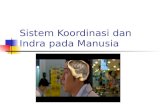 [PPT]Sistem Koordinasi dan Indra pada Manusia - Aji … · Web viewSistem Koordinasi dan Indra pada Manusia Telinga luar Telinga luar terdiri atas: Daun telinga Lubang telinga Gendang