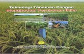  · 2011-08-15 · Pusat Penelitian dan Pengernbangan Tanaman Pangan telah ... 2006 sebagaimane ditunjukkan oleh data curahhujan di Medan-Sumatera ... coklat dan blas.