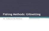 Fishing Methods: Gillnetting - ledhyane.lecture.ub.ac.idledhyane.lecture.ub.ac.id/files/2015/02/Gillnet.pdf · Menyebutkan macam-macam gillnet 2. ... yg mampu memancing reaksi ikan