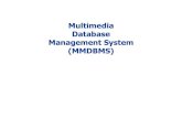 Multimedia Database Management System (MMDBMS) · Setiap jenis media diatur dengan cara khusus yang sesuai untuk jenis media ... Struktur abstrak tunggal untuk mengindeks semua jenis