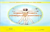 Prof. Dr. Satimin Hadiwidjaja, dr., PAK, MARS/Nomina... · ARTHROLOGIA h-istilah yang dipakai dalam arthrologia adalah seperti tersebut di tnt. ARTICULATIONES FIBROSAE SYNDESMOSIS