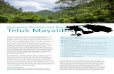 Teluk Mayalibit - birdsheadseascape.combirdsheadseascape.com/download/fact-sheets/2015 Factsheet KKLD... · Komoditas utama di teluk Mayalibit adalah ikan lema atau kembung ( Rastrelliger