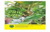 KATA PENGANTAR - dpmptsp.kaltimprov.go.id · KATA PENGANTAR Pisang merupakan komoditi pertanian rakyat di Kalimantan Timur (K altim) ... mendalam tentang potensi dan peluang pengembangan