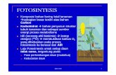 FOTOSINTESIS - Aktifitas | Student Blogblog.ub.ac.id/puspitt/files/2012/12/BAB-3-Photosynthesis.pdf · tubuh tanaman dan sebagai sumber energi proses metabolisme ... Thylakoid membran
