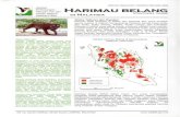 · PDF filetiga sub-spesies telah pupus - Harimau Caspia di Asia Tengah dan Harimau Jawa dan Bali. Harimau ... lembu dan kerbau yang berhampiran habitat harimau turut menjadi mangsa.