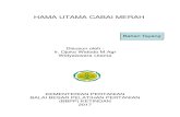 HAMA UTAMA CABAI MERAH - …bbppketindan.bppsdmp.pertanian.go.id/sites/default/files/pdf/... · Wereng Kapas (Empoasca lybica). 5. Lalat Buah (Bactrocera dorsalis). 6. Ulat Grayak