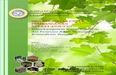 BIODIVERSITAS UNTUK PEMBANGUNAN BERKELANJUTAN ...repository.ubaya.ac.id/28755/19/Isolation and Characterization of... · Palangka Raya), Kalimantan Selatan (Universitas Universitas