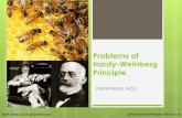 Problems of Hardy-Weinberg Principlestaff.unila.ac.id/priyambodo/files/2016/05/02052016-Hardy-Weinberg... · Penyelesaian Soal 1 2000 penduduk Goldar A = 800 Goldar B = 540 Goldar