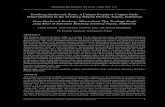 Ertsberg Stockwork Zone: A Unique Porphyry Copper Style ... 20130101.pdf · Perubahan dalam mineralogi dan runtunan paragenetis melalui ... alterasi dan penguratan antara porfiri