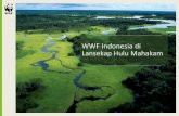 WWF Indonesia di Lansekap Hulu Mahakam · Bekerja di landsekap Hulu Mahakam sejak 2007 dalam payung program Heart of Borneo (HoB) dan pembanguan ekonomi hijau. ... • Jumlah penduduk