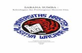 Sabana Sumba: kelembagaan dan pembangunan ekonomi desarepository.uksw.edu/bitstream/123456789/7056/10/T2_902010002_Judul.pdf · menjadi salah satu pendorong keputusan saya untuk membuat