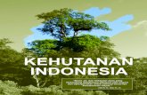 KEHUTANAN INDONESIA - forclime.org Indonesian.pdfanugrah Tuhan Yang Maha Esa kepada bangsa Indonesia. Undang Undang Dasar 1945 telah mengamanatkan bahwa hutan dengan segala isinya