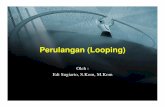 4. EDI PA Perulangan(Looping).ppt - dinus.ac.iddinus.ac.id/repository/docs/ajar/4._EDI_PA_Perulangan(Looping).pdf · Perulangan (Looping) Oleh : Edi Sugiarto, S.Kom, M.Kom. Pendahuluan