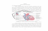 BAB II TINJAUAN PUSTAKA 2.1 Anatomi Jantungeprints.umm.ac.id/40686/3/BAB II.pdf · jantung tidak dapat lagi mendapatkan darah dan oksigen, sel jantung akan menggunakan metabolisme