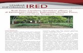 IRED - worldagroforestry.org · Permasalahan yang kedua menyangkut regenerasi jenis tanaman ini. ... Kondisi tanah di Kecamatan Haharu ... masuk dalam tipe E atau mendekati gersang