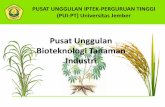 Pusat Unggulan Bioteknologi Tanaman Industri · 2018-07-26 · Produk: Besinar (Benih Sintetik Artifisial Tebu) ... High pro-vit. A content IR64 pro-vit A ... Kontrak riset pada tingkat