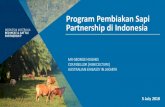 Program Pembiakan Sapi Partnership di Indonesia pb-ispi.org_Kedutaan...• Program pelatihan/magang industri pastoral pada peternakan sapi Australia selama 10 minggu • Melatih 20
