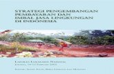 STRATEGI PENGEMBANGAN PEMBAYARAN DAN DI … · arahan bagi pendekatan institusional pembayaran dan imbal jasa lingkungan yang tepat di Indonesia dan (3) mendorong munculnya dialog