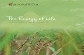 The Energy of Life - sidomuncul.com · mendapat manfaat dari keanekaragaman hayati bumi Indonesia. ... orang-orang di sekitar kami termasuk para petani ... of PT lndustri Jamu and