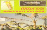 new.litbang.pertanian.go.id · kerusakalj tanaman kelapa vanp ada di daerah asal Sp.xava. yaitu Nlaluku ataupun J aya Kutu daun kelapa Aspidiotus destructor (dari varietas rigidus)