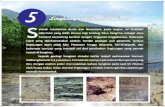 PDF Compressor - kebudayaan.kemdikbud.go.id · lingkungan alam seja kala Plestosen hingga sekarang, -bio-stratigrafi, dan beberapa temuan yang menjadi ciri dari perubahan lingkungan