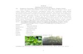 BAB II TINJAUAN PUSTAKA 2.1 Syzygium polyanthum (Wight) Walpeprints.umm.ac.id/41033/3/BAB II.pdf · sedang hingga senyawa dengan kepolaran rendah (non-polar) (Seidel, 2006). 2.3.1