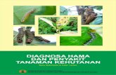 BPK Banjarbaru - Diagnosa Hama Tanamanforeibanjarbaru.or.id/wp-content/uploads/2016/07/...A. Meranti Merah (Shorea leprosula) • Ulat kantong (Acanthopsyche sp.) Deskripsi : Larva