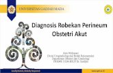 Diagnosis Robekan Perineum Obstetri Akut - obgin-ugm.comobgin-ugm.com/wp-content/uploads/2019/03/Diagnosis-Robekan-Perineum.pdf · – Klitoris – Otot levatorani – Perineal body